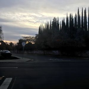 Meet your Posher, Stela